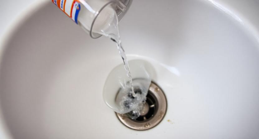 get rid of flies in your home